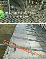 Ÿ