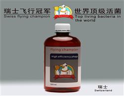 綥