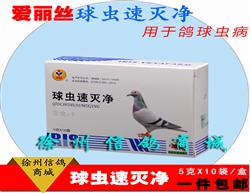 ʰ˿5g/10
