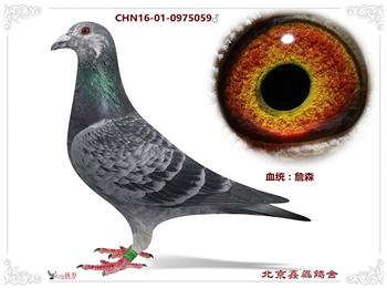 ѴһһһǮ
