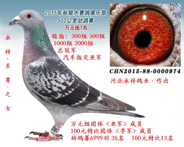 �ӱ������ҵ