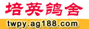 ̨Ӣ