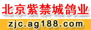 ϽǸҵ