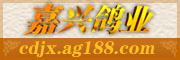 Ĵ˸ҵ