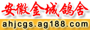սǸ