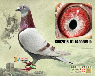  С