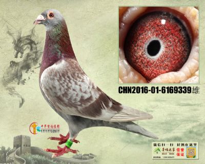 Ѫ