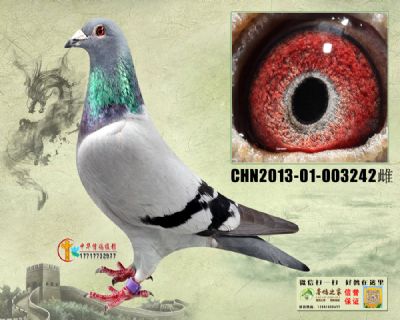   Ѫ