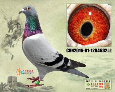 С