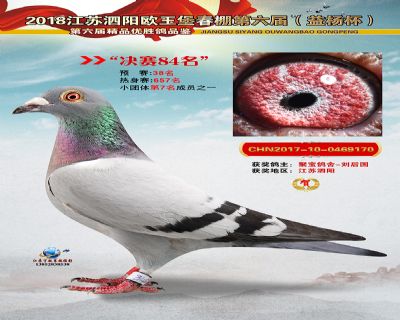 欧王堡决赛第84名
