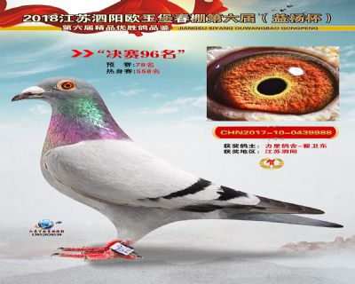 欧王堡决赛第96名