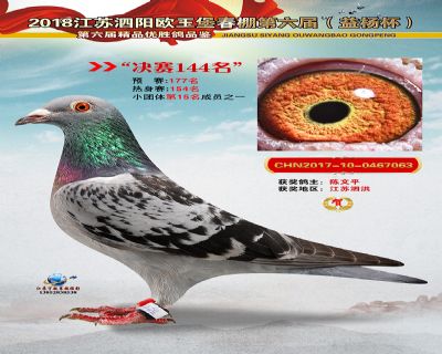 欧王堡决赛第144名