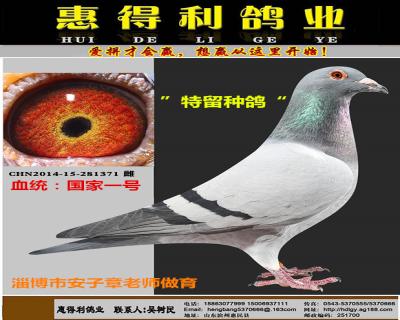 鿴ƷͼƬ