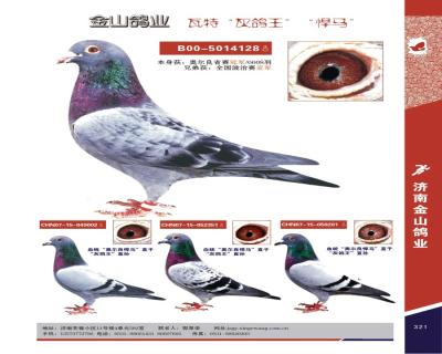鿴ƷͼƬ