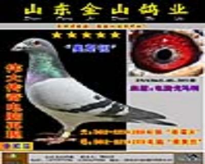 鿴ƷͼƬ