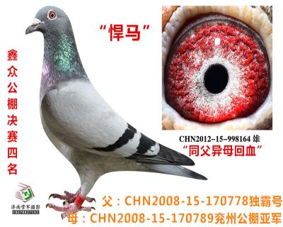鿴ƷͼƬ
