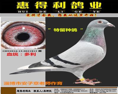 鿴ƷͼƬ