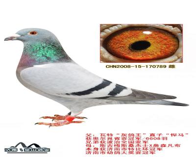 鿴ƷͼƬ