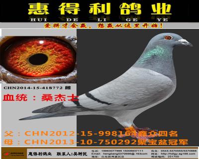 鿴ƷͼƬ