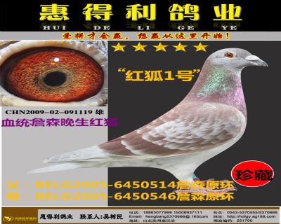 鿴ƷͼƬ