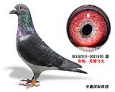 鿴ƷͼƬ