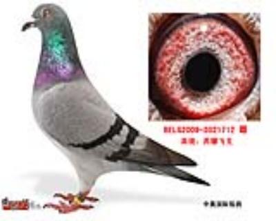 鿴ƷͼƬ