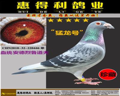 鿴ƷͼƬ