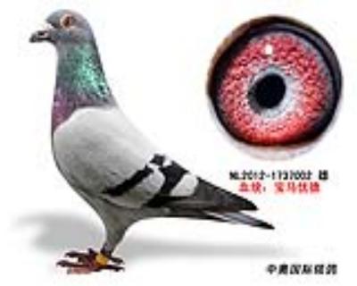 鿴ƷͼƬ