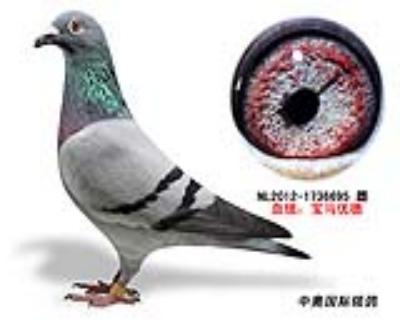 鿴ƷͼƬ