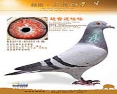 鿴ƷͼƬ