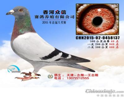 鿴ƷͼƬ