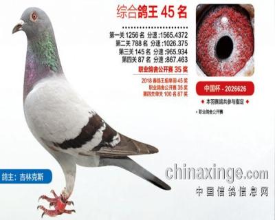 鿴ƷͼƬ