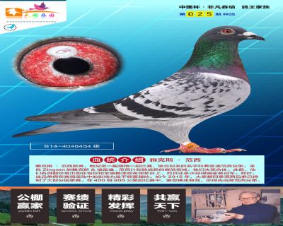 雅克斯·范西原舍本身荣获拉索特年15406羽77名