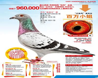 鿴ƷͼƬ