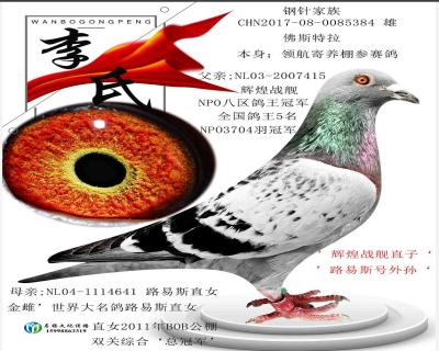 未来之星