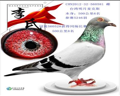 明月白羽号6名