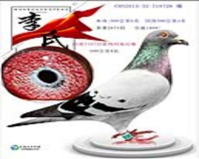 顶级麦克斯