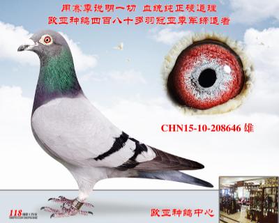 ƿ˻ɽֵ425Xһĸƥ436