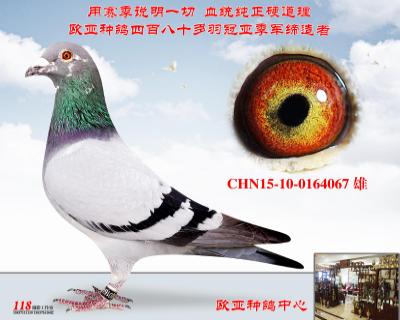 ˹СX510XֱŮС502