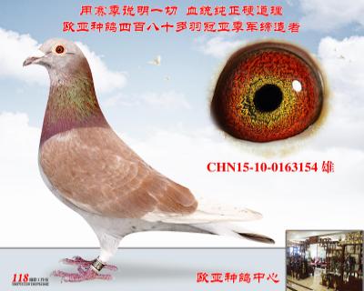 詹森老白眼427X888直子X427X520直女同父异母极品
