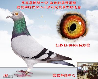 老盖比原舍闪电号直子X闪电号直女近亲高背份