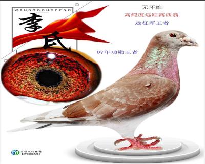 老牌西翁