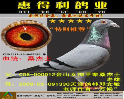 ɽŮƽɣʿֱ