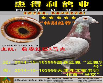 ղɭXӢֱ
