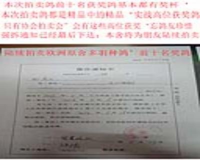 拍卖前 仔细阅读