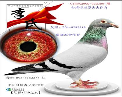 台湾帝王原舍