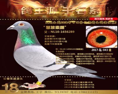 范多普父子“怒放索朗”X“梅勒妮”