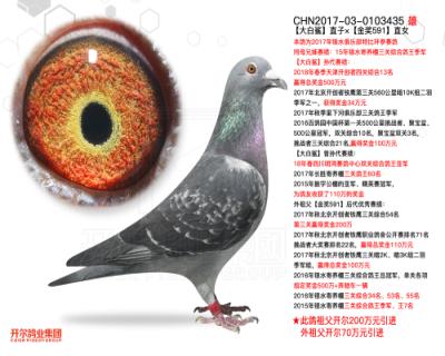 衿ֱӡ591ֱŮ